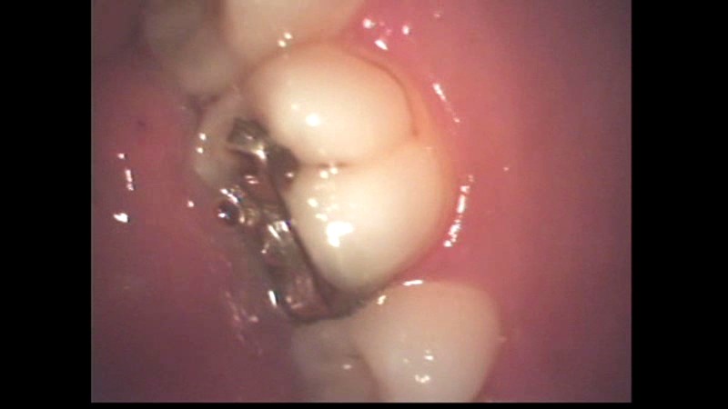 サンプル画像 13