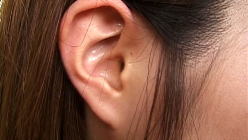 サンプル画像 15