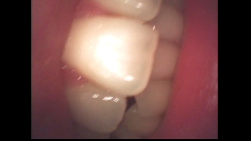 サンプル画像 17