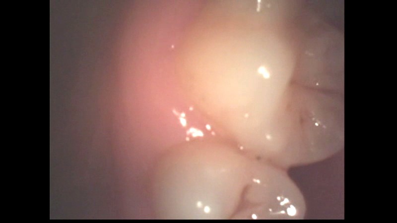 サンプル画像 5