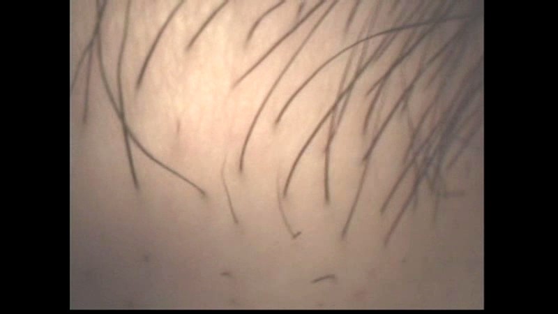 サンプル画像 7