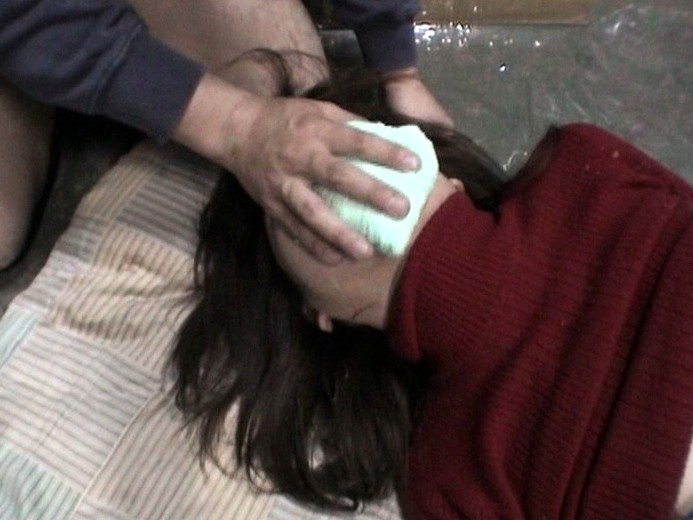 サンプル画像 14