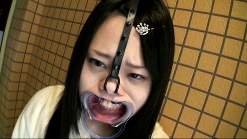 サンプル画像 10