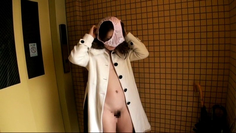 サンプル画像 14