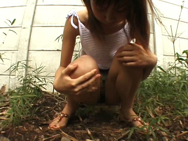 サンプル画像 12