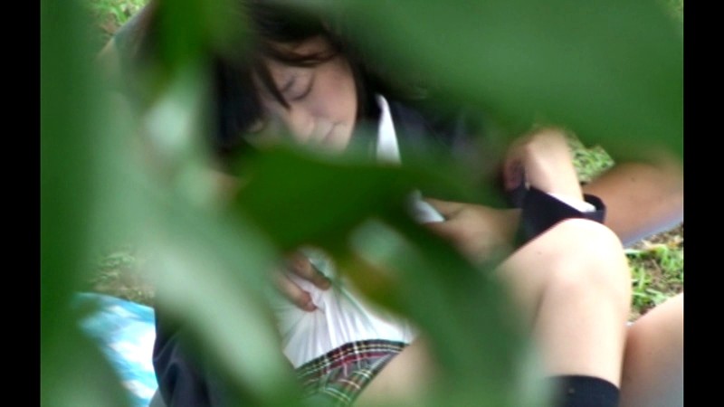 サンプル画像 3