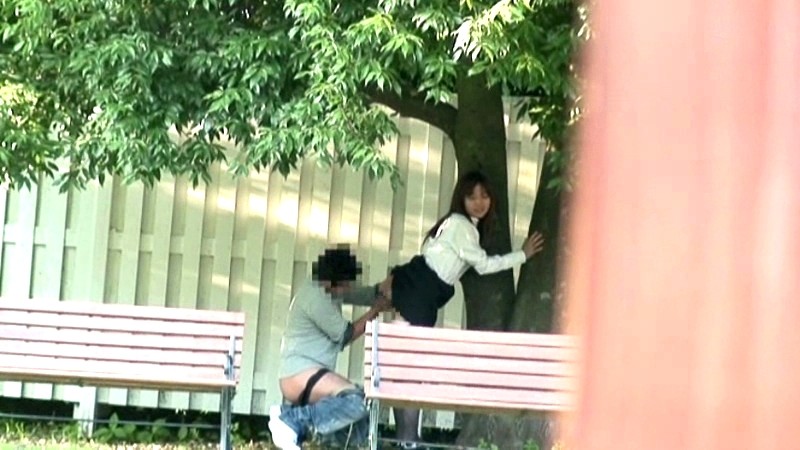 サンプル画像 12