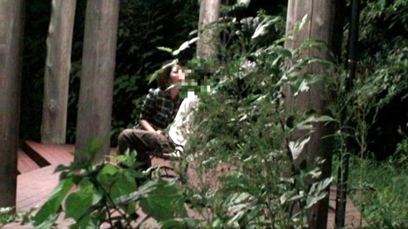 サンプル画像 16