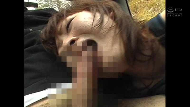 サンプル画像 12