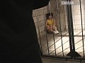 サンプル画像 20