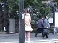 サンプル画像 11