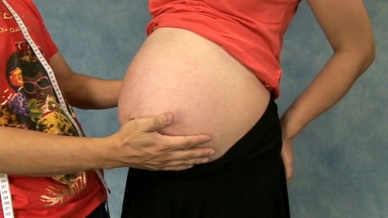 サンプル画像 3