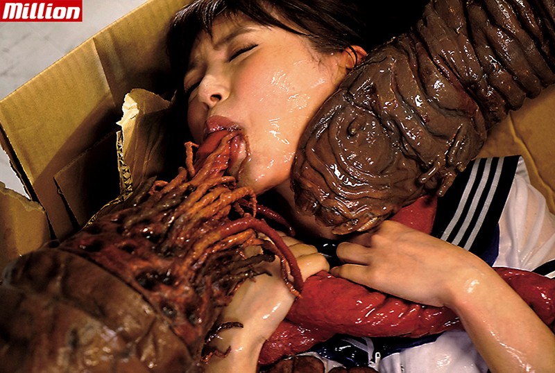 サンプル画像 5