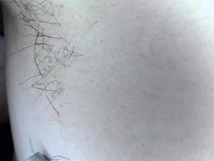 サンプル画像 12