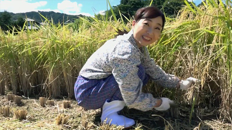 サンプル画像 5