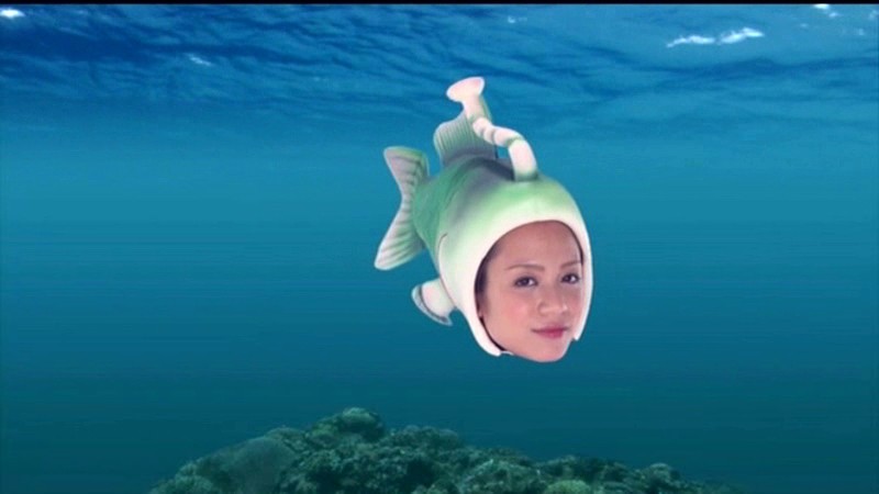 サンプル画像 5