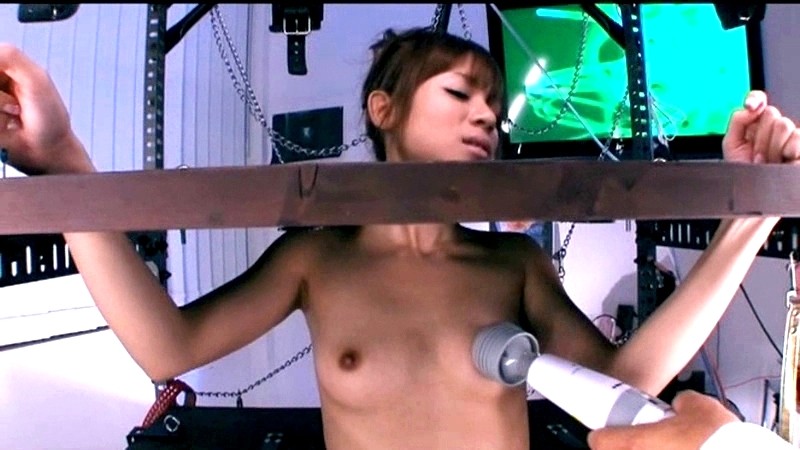 サンプル画像 8