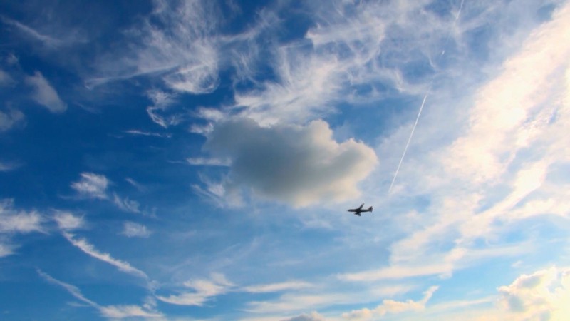 サンプル画像 16