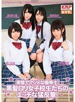 パッケージ画像