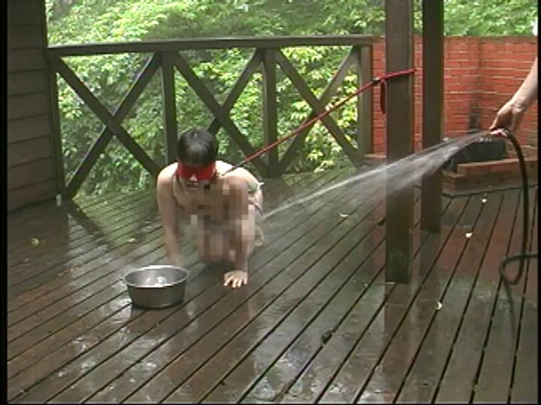 サンプル画像 9