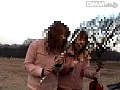 サンプル画像 13