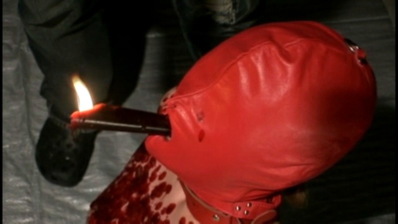 サンプル画像 14