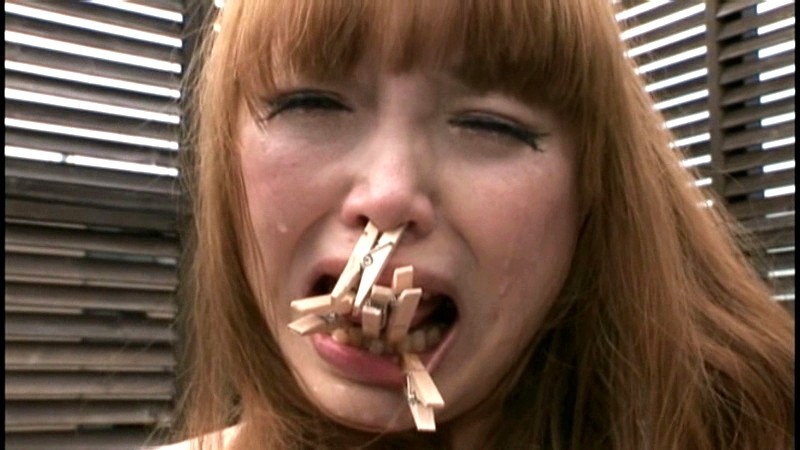 サンプル画像 9