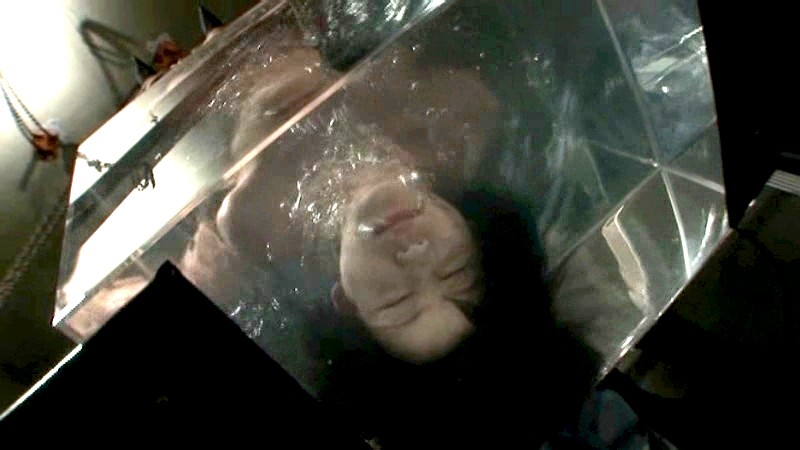 サンプル画像 8