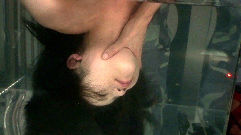 サンプル画像 10