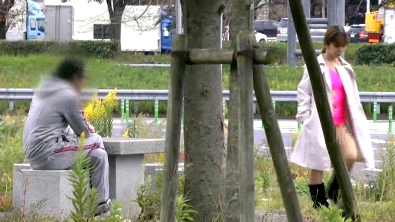 サンプル画像 13