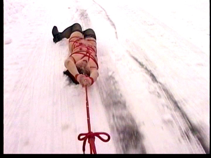 サンプル画像 13