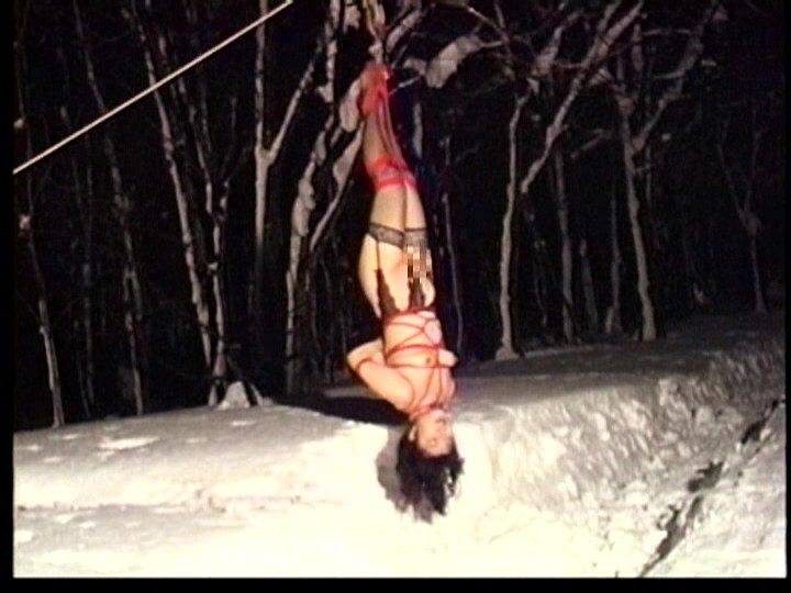 サンプル画像 7