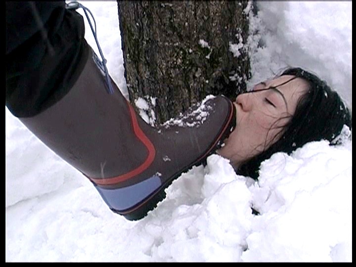 サンプル画像 16