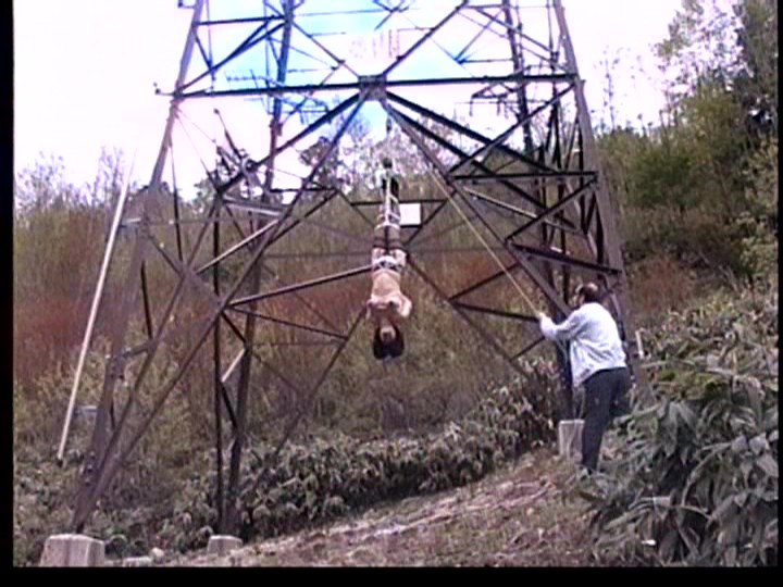 サンプル画像 12