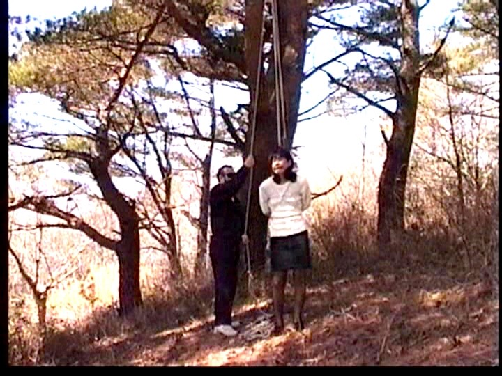 サンプル画像 16