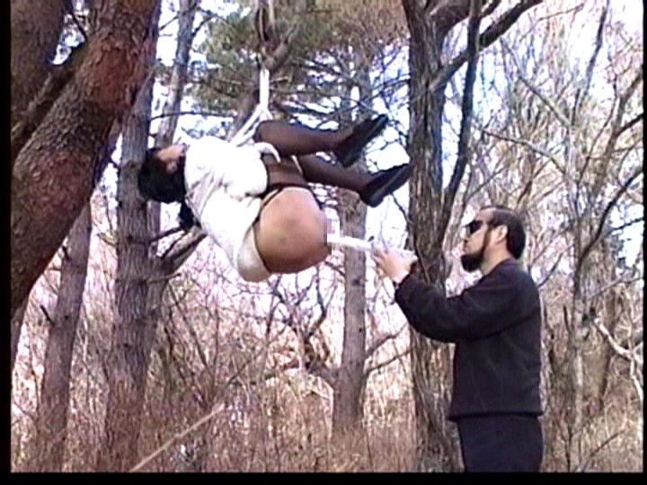 サンプル画像 17