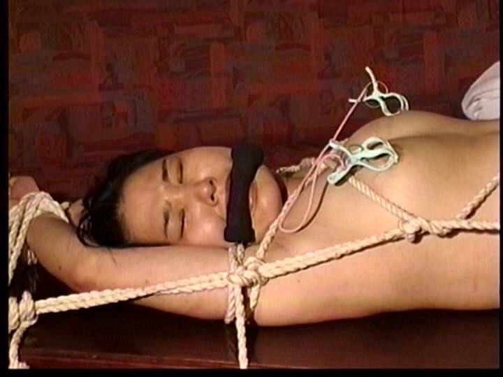 サンプル画像 10