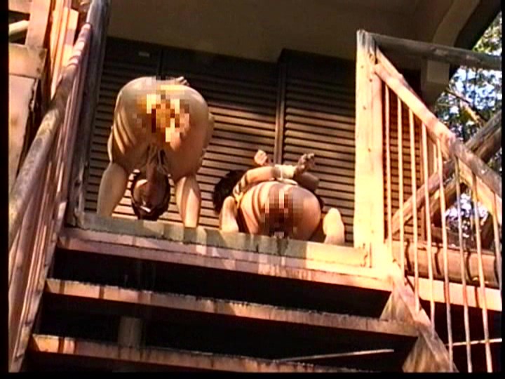 サンプル画像 6