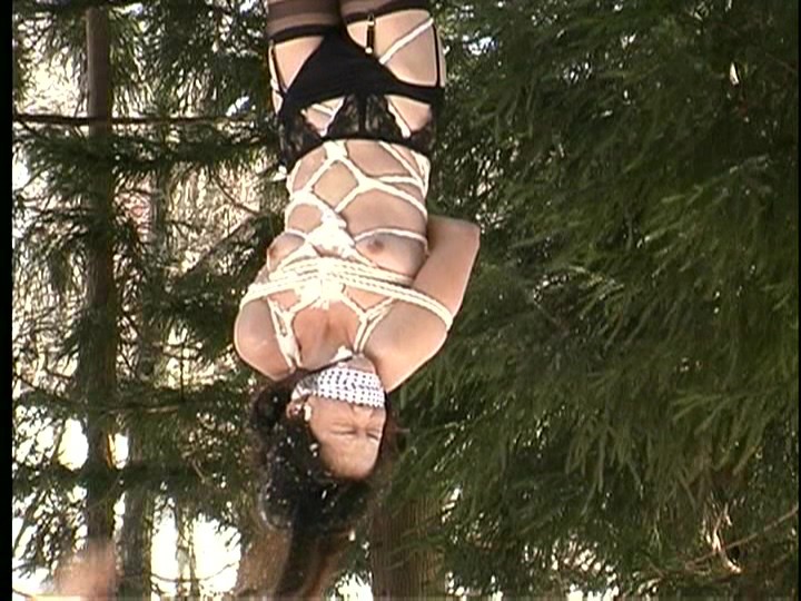 サンプル画像 12