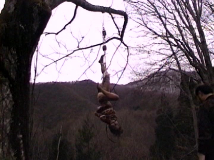 サンプル画像 12