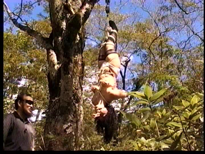 サンプル画像 12