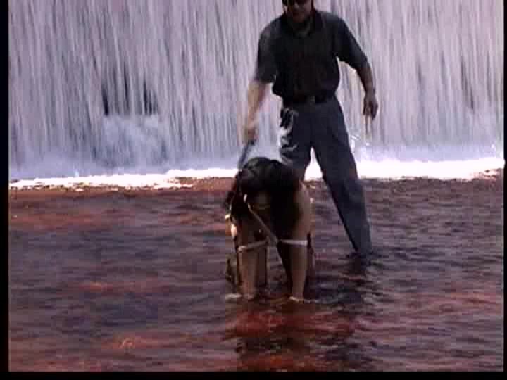 サンプル画像 14