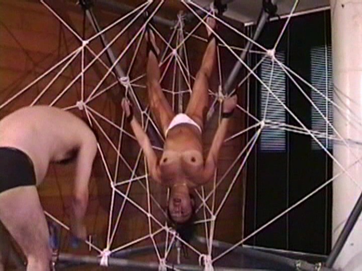 サンプル画像 11