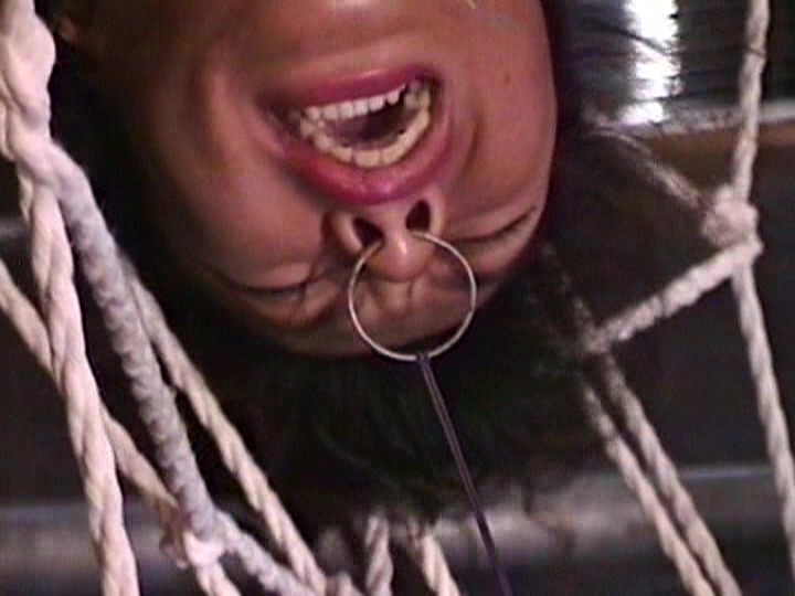 サンプル画像 12