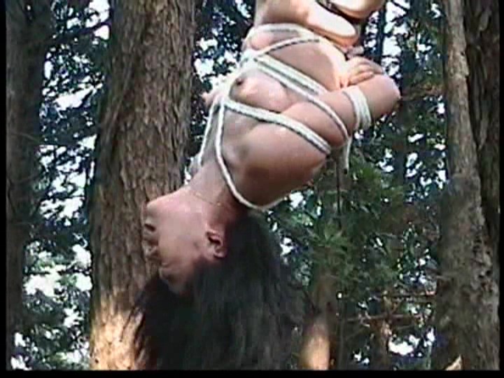 サンプル画像 10