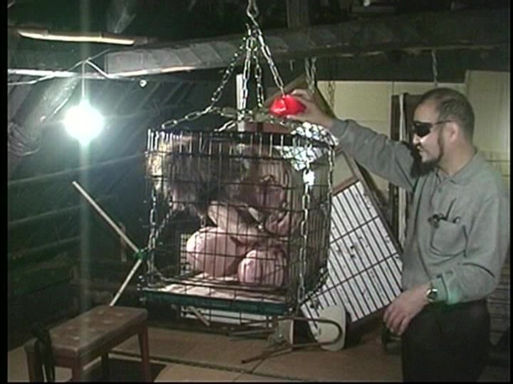 サンプル画像 21