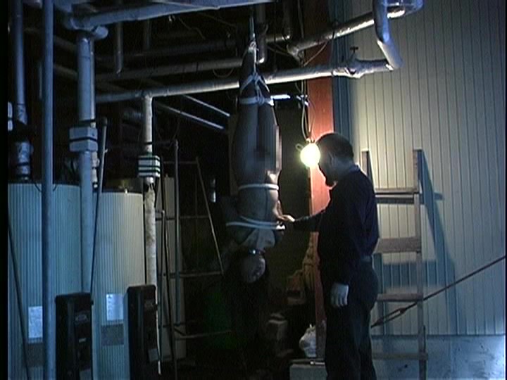 サンプル画像 8