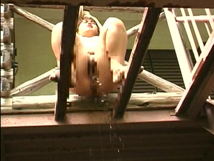 サンプル画像 3