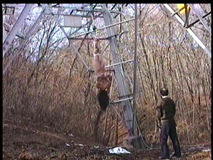 サンプル画像 6