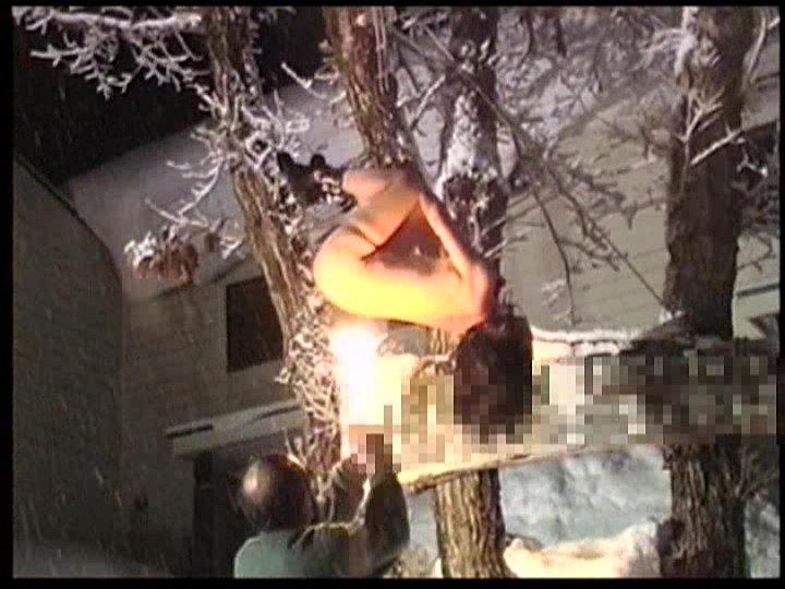 サンプル画像 19